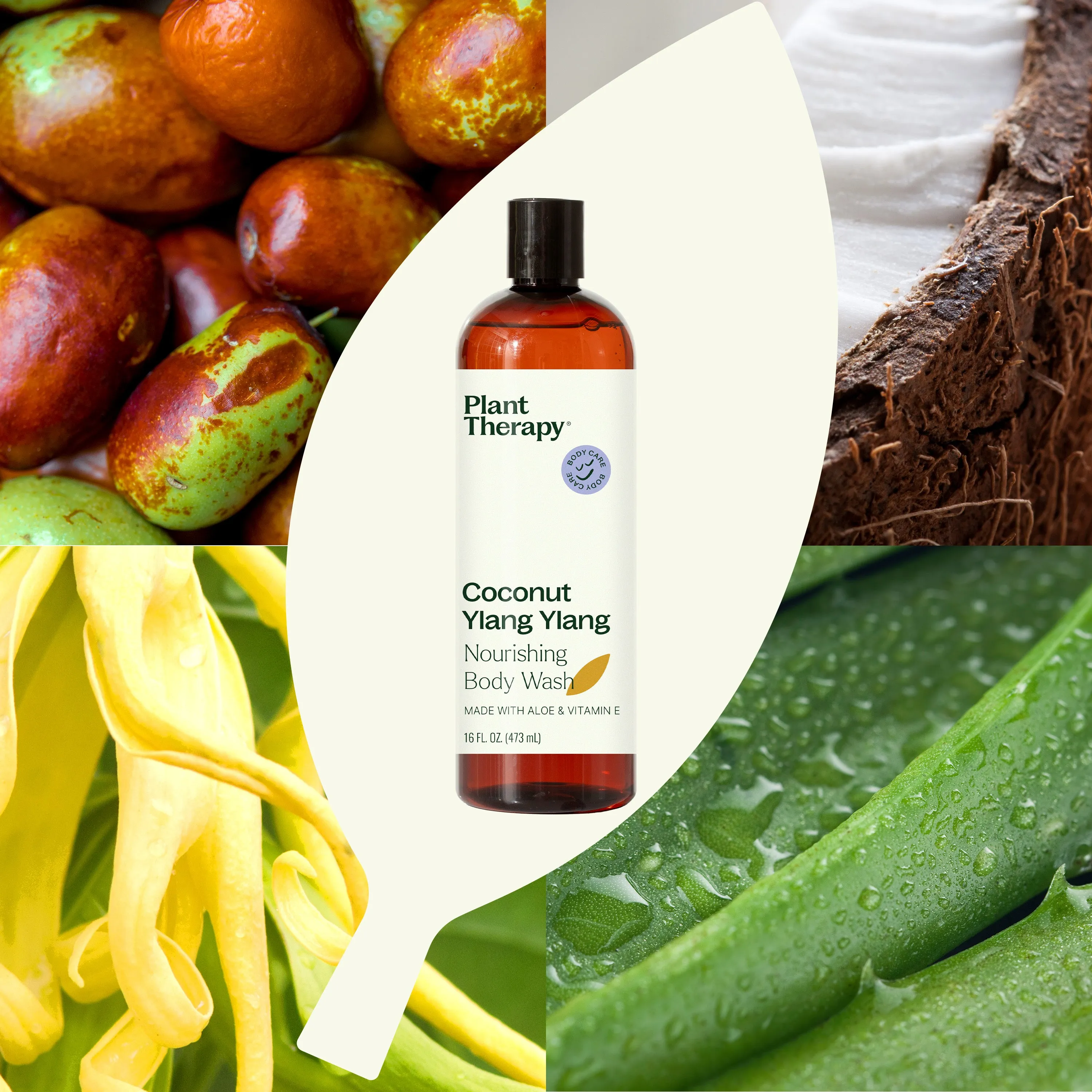 Coconut Ylang Ylang Scent Bundle